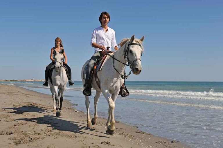 Balade à cheval en Camargue
