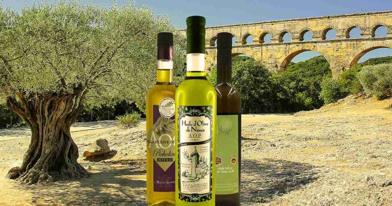 Huile d'Olive de la région