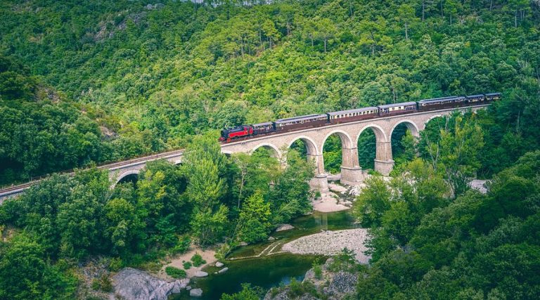 Le train à vapeur des Cévennes