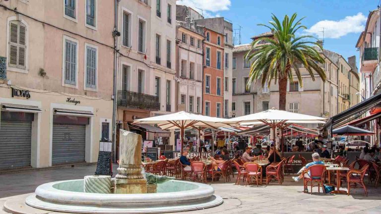 Terrasse de café à l’ombre des micocouliers de Nimes
