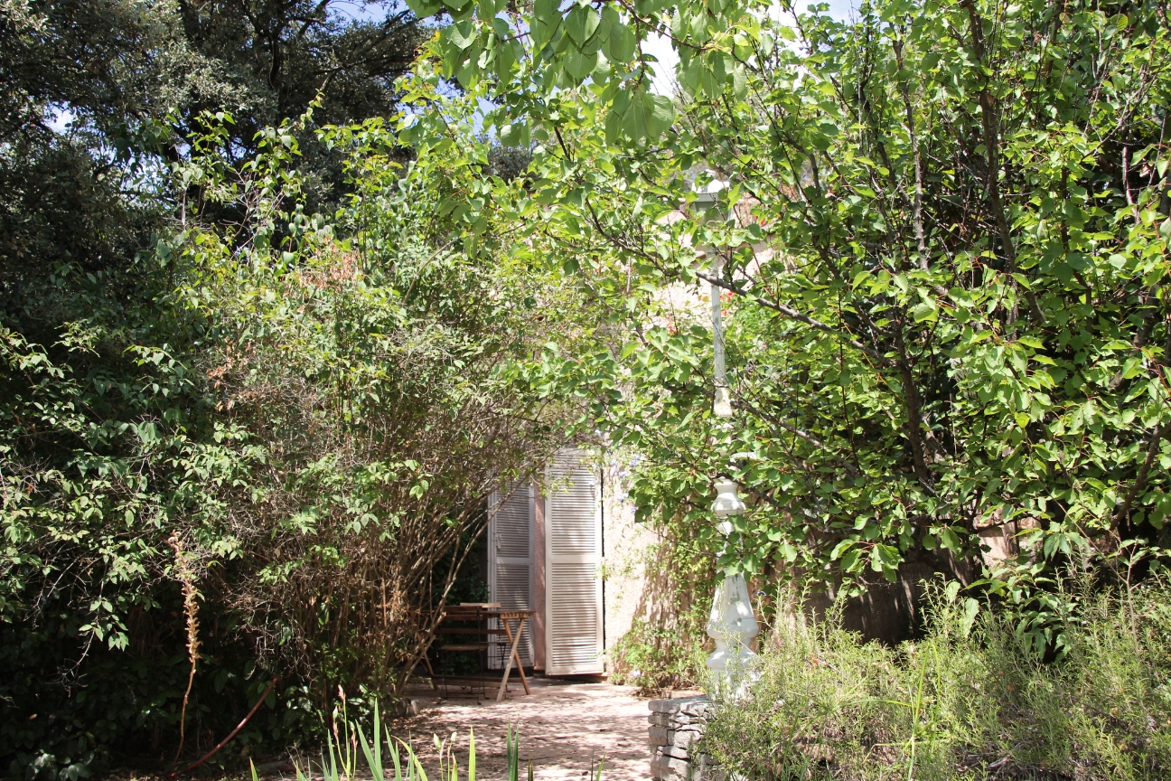 Vegetation terrasse Mas le Garric