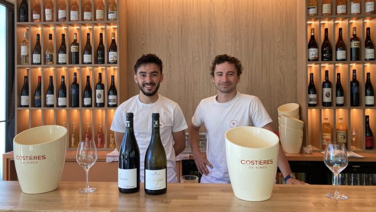 Verres de vin et vignoble local
